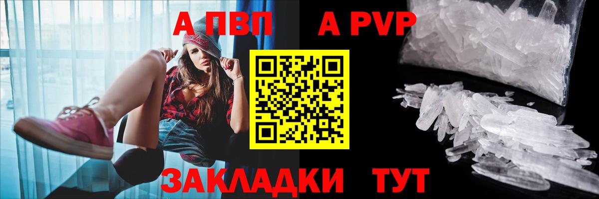 Альфа ПВП СК Санкт-Петербург