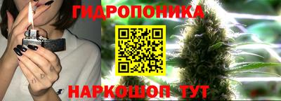 a pvp Севастополь