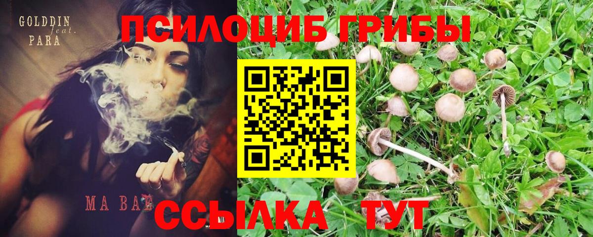 закладка  Вход с VPN  Псилоцибиновые грибы MAGIC MUSHROOMS  Санкт-Петербург  Галлюциногенные грибы прущие грибы 